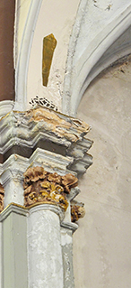 ornamental plaster repairs